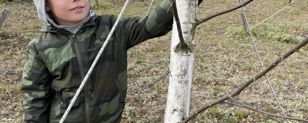 Разом заради майбутнього: наша команда висаджує дерева в Беремицькому та Добропарку